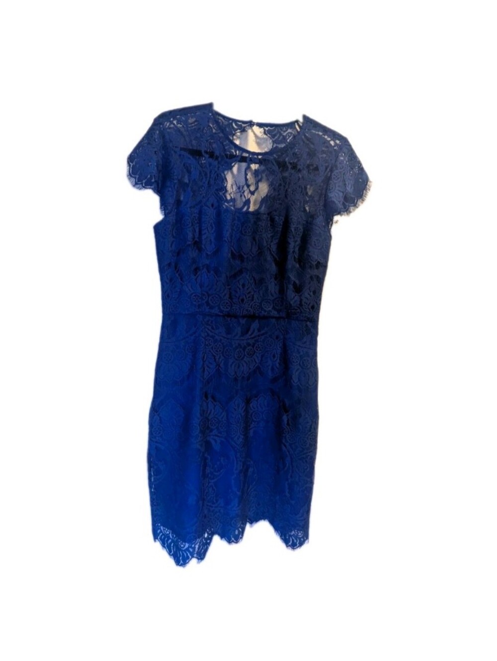 BB Dakota Elegant Blue Lace Cap-Sleeve Dress
